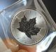 1 Ounce Platinum Canadian Maple Leaf Coin 2015,  20 99.  95 Pure Time To Buy Platinum photo 1