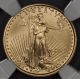 2007 - W Ngc Perfect Ms 70 Gold W Eagle 1/10 Oz Ounce Gold Coin Burnished Coins: US photo 1