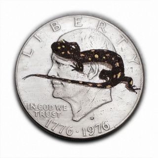 Spotted Salamander S327 Ike Dollar Hobo Nickel Engraved By Luis A Ortiz photo