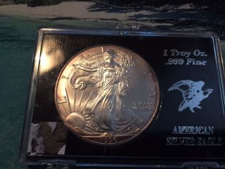 1996 1 Oz Silver American Eagle Brilliant Uncirculated Bu Rare Date In Holder photo