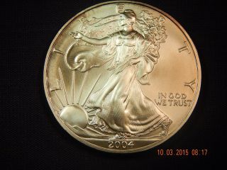 2004 Us Silver Eagle 1 Oz.  Coin From Us photo