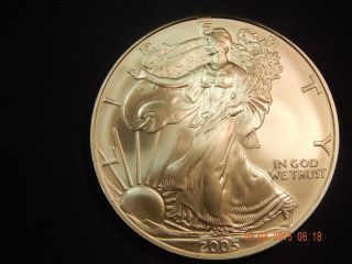 2005 Us Silver Eagle 1oz.  Pretty Coin Straight From The In 2005 photo