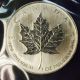 First Year Issue Palladium 1 Ounce Maple Leaf Canada Inaugural Coin 1oz 2005 $50 Bullion photo 8
