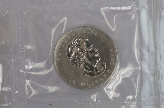 2005 Canada $50 Palladium 1 Ozt Maple Leaf Uncirculated Coin (8791) photo