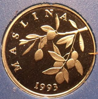 Rare Proof Croatia 1993 20 Lipa Olive Branch Only 17,  000 Minted photo