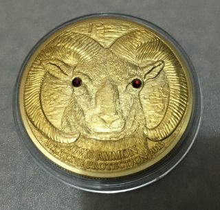 1 Oz Moutain Sheep With Ruby Eyes Finished In 24k Gold Clad Coin photo
