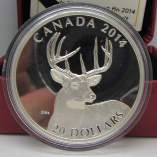 2014 Canada $20 Fine Silver Coin - White Tailed Deer: Portrait - No Tax photo