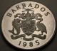 Barbados 20 Dollars 1985 Proof - Silver - Decade For Women - 1156 猫 North & Central America photo 1