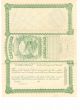 Vintage 1901 Mt.  Shavano Mining & Milling Company Stock Certificate,  200 Shares Stocks & Bonds, Scripophily photo 1