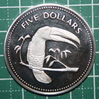 Belize Proof Five Dollar Coin 1977 photo