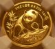 China 1990 Gold 1/4 Oz Panda 25 Yuan Ngc Ms - 69 Small Date China photo 1