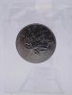 2006 Canada $50 Palladium 1 Oz Maple Leaf Uncirculated Coin Bullion photo 2
