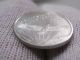 Bu 2004 Us $25 Platinum Statue Of Liberty Bullion Coin.  1/10 Troy Oz.  9995 Fine. Platinum photo 10