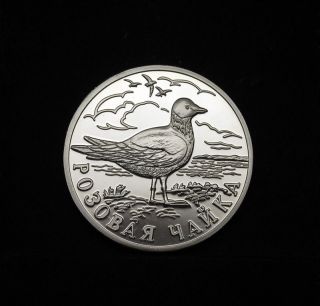 Russia – 1 Rouble Coin 1999 - Ross ' S Gull,  Wildlife,  Bird photo