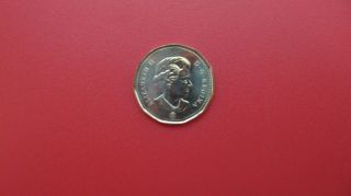 2012 Canada $1 Loonie Dollar - Old Style - Rare - Low Mintage photo