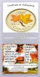 Canadian 2012 - Last Penny - Gilded - 24k And Colored Summer.  - Coins: Canada photo 1