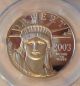 2003 - W $100 Statue Of Liberty 1 Oz Platinum Eagle Pr70 Dcam Pcgs : Mirror Like Platinum photo 1