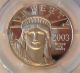 2003 - W $100 Statue Of Liberty 1 Oz Platinum Eagle Pr70 Dcam Pcgs : Mirror Like Platinum photo 3