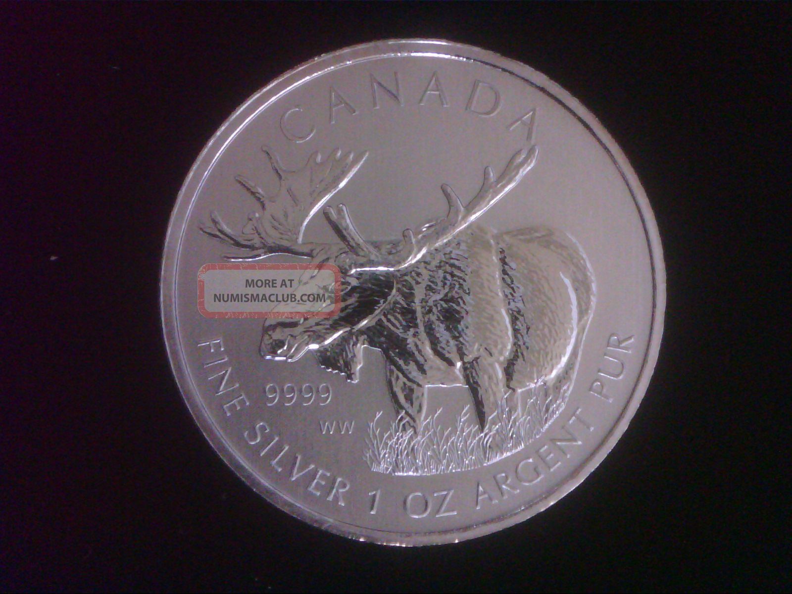 2012 1 Oz Silver Canadian Moose Coin Bu - Wildlife Series Coins photo