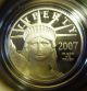 2007 W Us 1/10 Oz Proof Platinum American Eagle $10 Coin Liberty Statue I Platinum photo 3