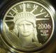2006 W Us 1/10 Oz Proof Platinum American Eagle $10 Coin Liberty Statue I Platinum photo 5