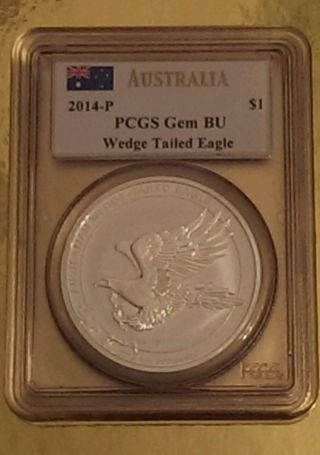 2014 1 Ounce Silver Australian Wedge Tailed Eagle Pcgs Gem Bu photo