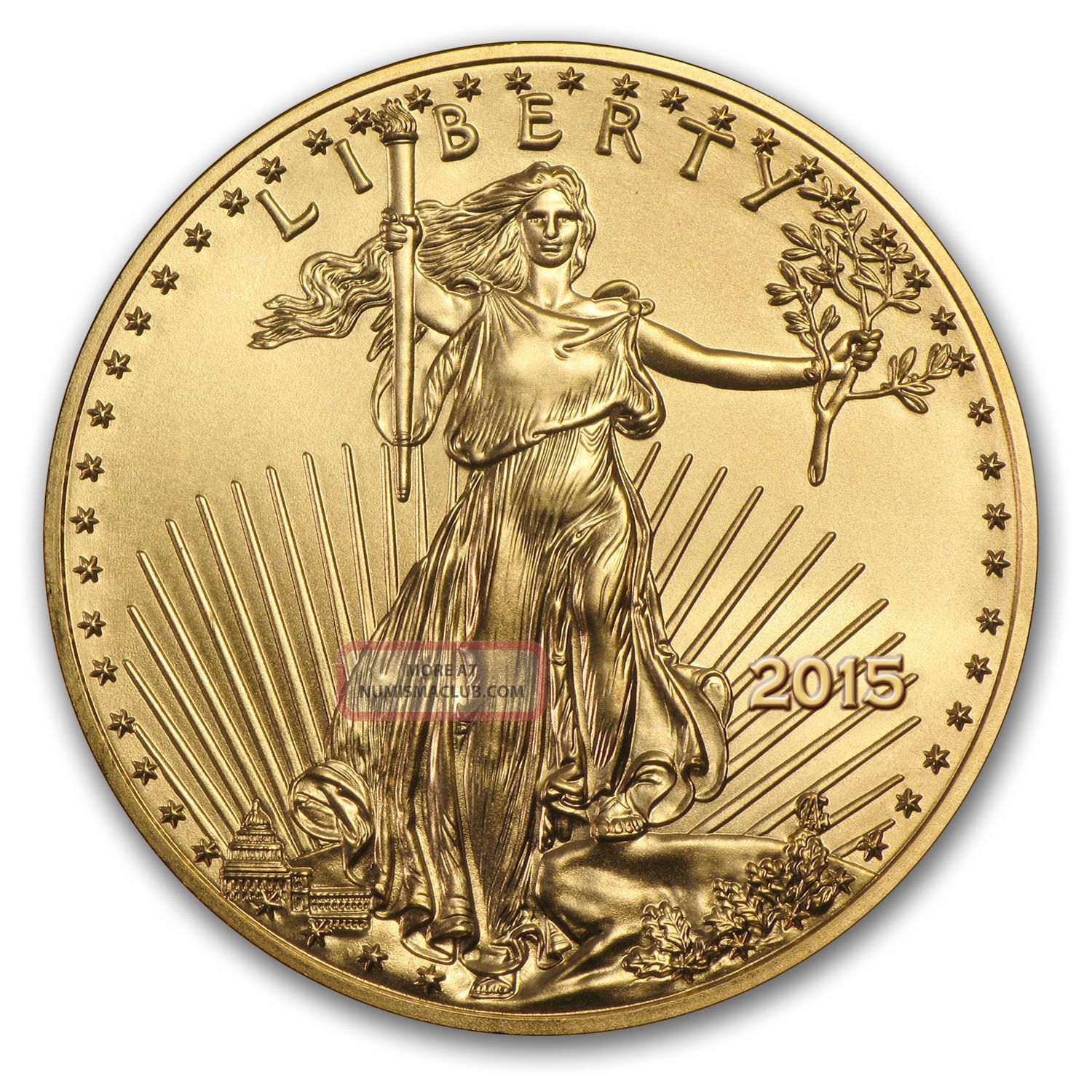 2015 1 4 Oz Gold American Eagle Brilliant Uncirculated 2015-1-4-oz-gold-american-eagle-brilliant-uncirculated