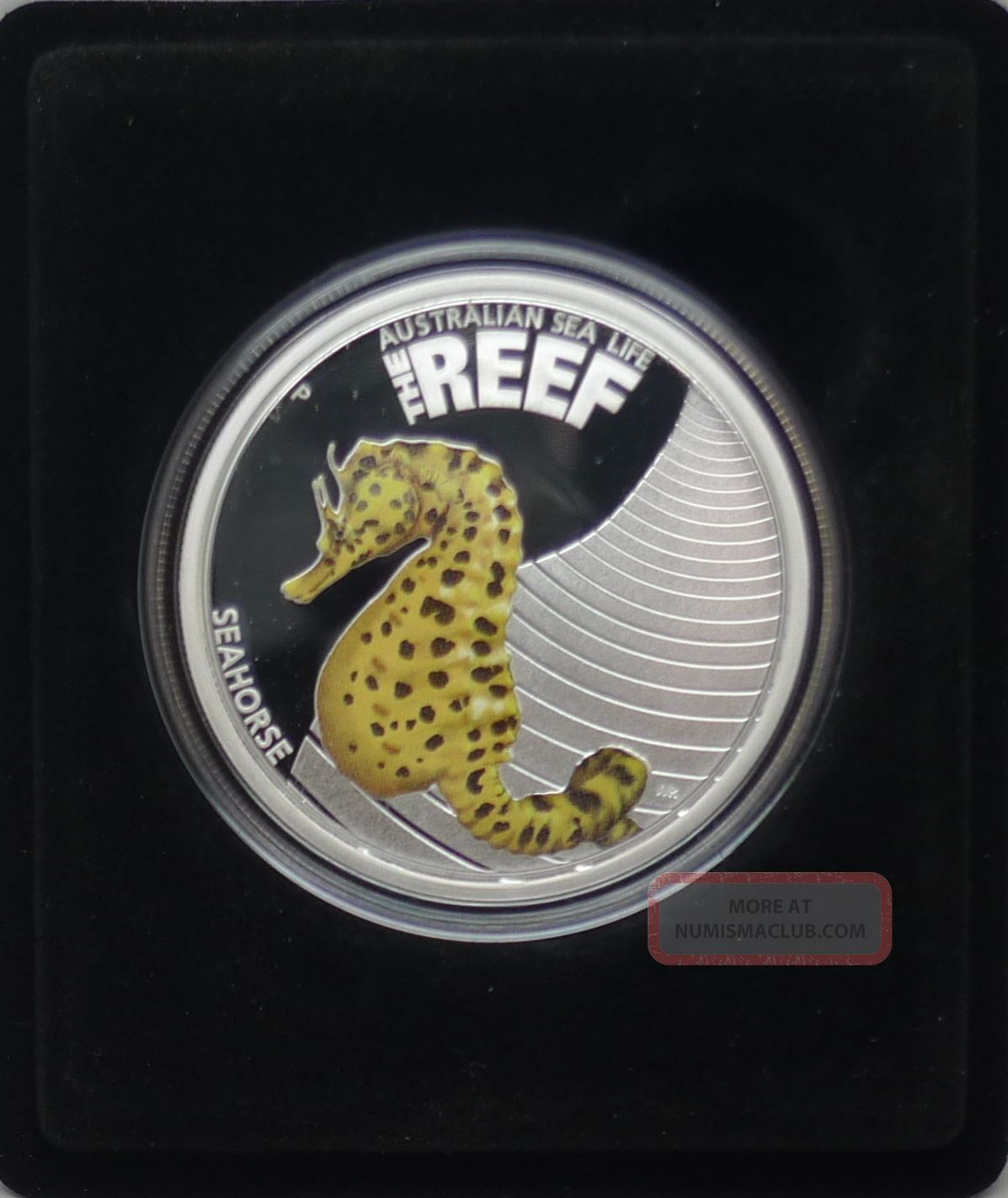 2010 Australia Sea Life The Reef Sea Horse 1/2oz Silver Proof Coin Australia photo