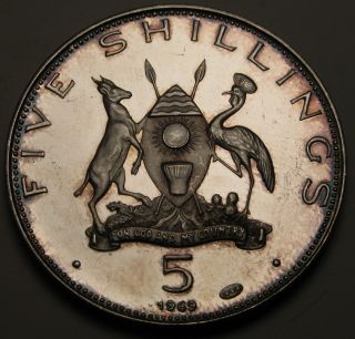 Uganda 5 Shillings 1969 Proof - Silver - Visit Of Pope Paul Vi 2491 photo