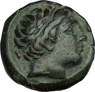Philip Ii Alexander The Great Dad Olympic Games Ancient Greek Coin Horse I39908 photo