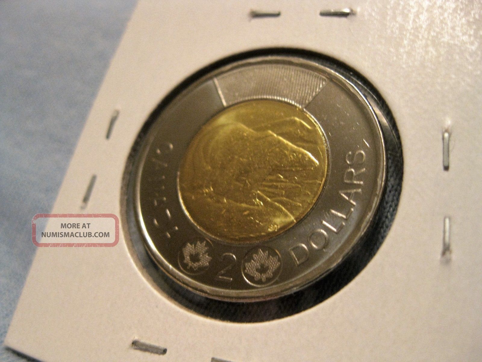 Canada 2 Dollars 2013 Bimetallic Polar Bear Km 1257 Toonie $2 Coins: Canada photo