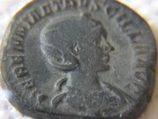 Herennia Etruscilla Ae Sestertius A.  D.  249 To 251 photo