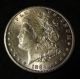 1884 - Cc Morgan Silver Dollar - A Very Frosty Au,  /ms From The Carson City Dollars photo 10