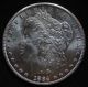 1884 - Cc Morgan Silver Dollar - A Very Frosty Au,  /ms From The Carson City Dollars photo 4