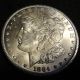 1884 - Cc Morgan Silver Dollar - A Very Frosty Au,  /ms From The Carson City Dollars photo 6