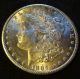 1884 - Cc Morgan Silver Dollar - A Very Frosty Au,  /ms From The Carson City Dollars photo 8
