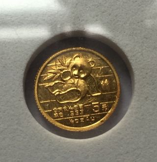 1989 China Gold Panda 5 Yuan 1/20oz.  999 Fine Gold Coin photo