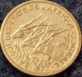 Central African States - 1977 - 50 Francs - Cuni - Km - 7 photo