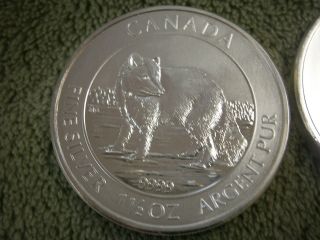 Silver 1.  5oz Artic Fox Canadian Coin.  999 Bu Uncirculated photo