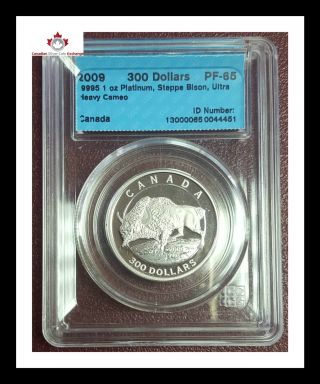 2009 Canada $300 Dollars 1oz Platinum Coin Steppe Bison Graded Pf - 65 200 Minted photo