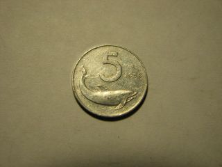 1953 – Italy – 5 Lire Coin photo