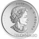 Canada 2015 $5 Great Horned Owl 1 Oz Silver Color Birds Of Prey Mintage 100 V2 Coins: Canada photo 1