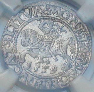 Medieval Europe Year 1559 Poland Polish Lithuania Silver 1/2 Gross 1/2g Ngc Au58 photo