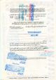 Penn Central Company (1,  000 Shares) 1975 Stock Cancelled Certificate Stocks & Bonds, Scripophily photo 1