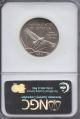 2004 Platinum Eagle P$50 Coin Statue Of Liberty $50 Ngc Ms70 Platinum photo 1