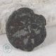 Ancient Constantinople Istanbul Victory Concordia 1.  6g - Coin Hi1252 Coins: Ancient photo 1