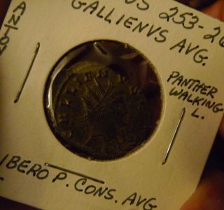 Ancient Roman Coin Bronze Gallienus Panther Walking 253 - 268ad Antoninianus Nr photo