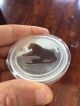 2010 Silver Lunar 2 Troy Ounce Tiger Rare Australia From Plastic Coins: World photo 1
