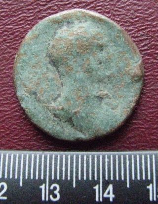 U - Id Authentic Ancient Roman Coin Large Dupondius Or As Roman Coin 13009 photo