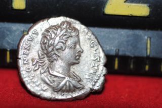 Roman Imperial Silver Denarii: Caracalla 3 Gm Probably Extra Fine.  Detail photo